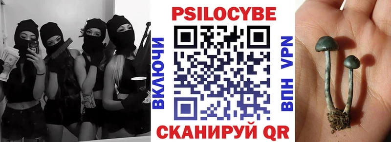 Псилоцибиновые грибы Magic Shrooms  Купить  Боровичи 