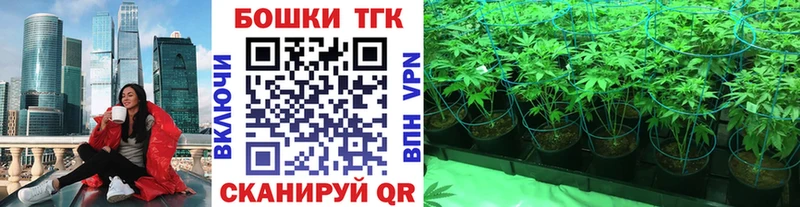 Купить  Боровичи  Конопля AK-47 